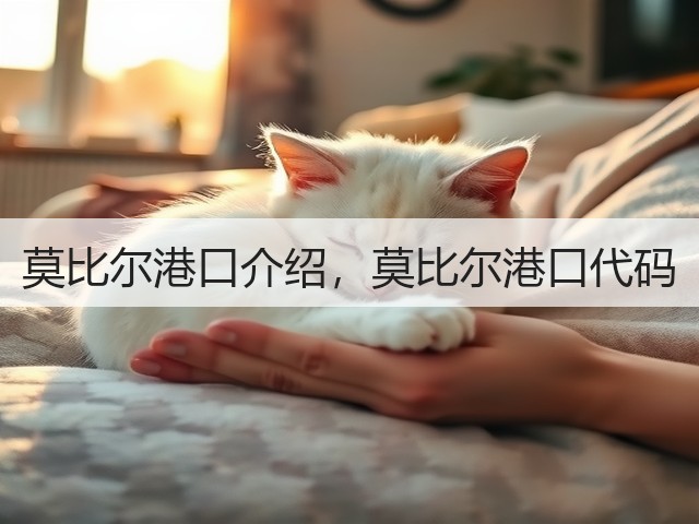 莫比尔港口介绍，莫比尔港口代码(图2)