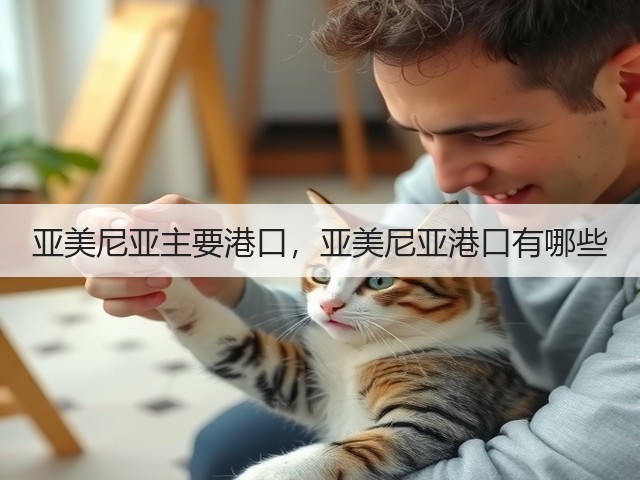 亚美尼亚主要港口，亚美尼亚港口有哪些(图3)
