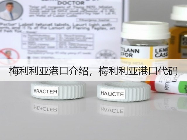 梅利利亚港口介绍，梅利利亚港口代码(图1)