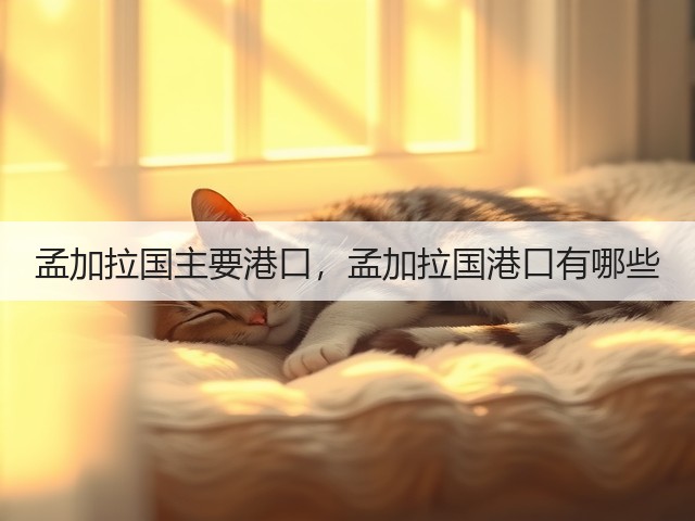 孟加拉国主要港口，孟加拉国港口有哪些(图1)