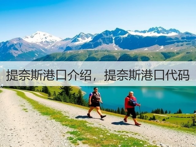 提奈斯港口介绍,提奈斯港口代码(图3) 提奈斯港口介绍,提奈斯港口代码(图3)