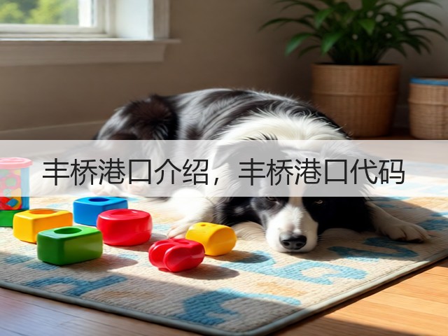 丰桥港口介绍，丰桥港口代码(图3)