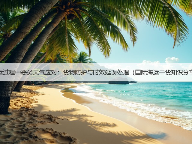 海运过程中恶劣天气应对:货物防护与时效延误处理(国际海运干货知识分享)(图3) 海运过程中恶劣天气应对:货物防护与时效延误处理(国际海运干货知识分享)(图3)
