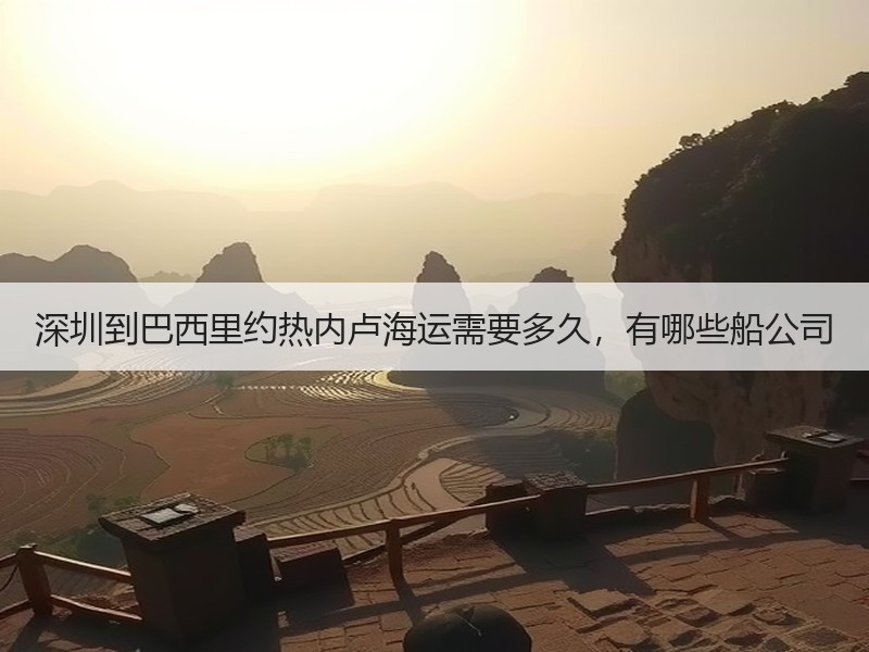 深圳到巴西里约热内卢海运需要多久，有哪些船公司