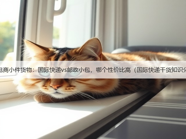 跨境电商小件货物:国际快递vs邮政小包,哪个性价比高(国际快递干货知识分享)(图2) 跨境电商小件货物:国际快递vs邮政小包,哪个性价比高(国际快递干货知识分享)(图2)