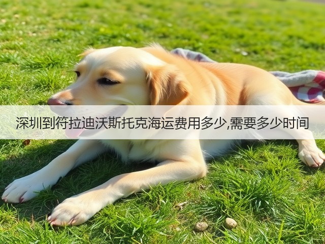 深圳到符拉迪沃斯托克海运费用多少,需要多少时间(图1)