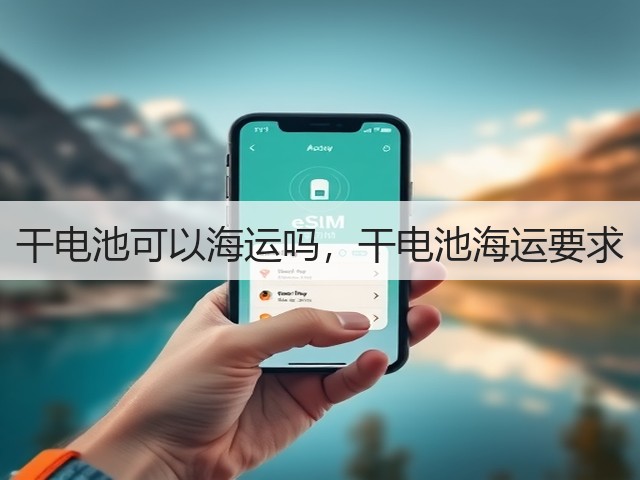 干电池可以海运吗，干电池海运要求(图1)