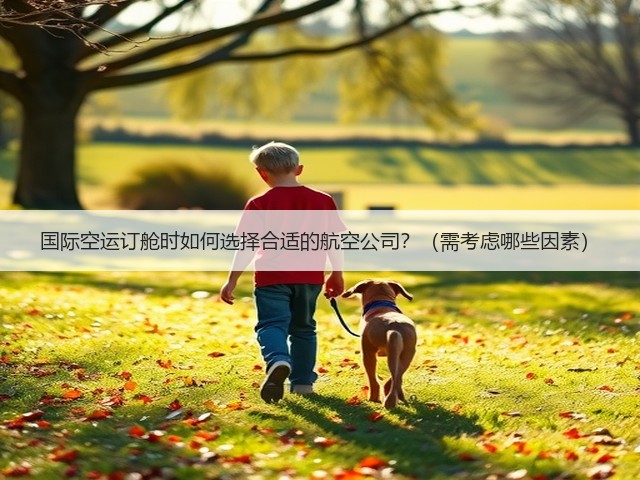 国际空运订舱时如何选择合适的航空公司？（需考虑哪些因素）(图1)