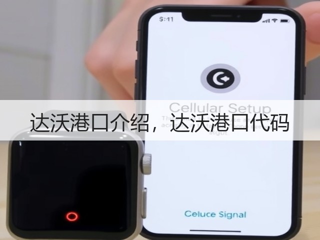达沃港口介绍，达沃港口代码(图3)