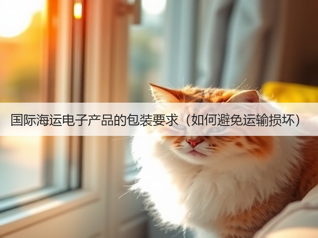 国际海运电子产品的包装要求(如何避免运输损坏)(图3) 国际海运电子产品的包装要求(如何避免运输损坏)(图3)