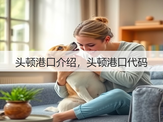 头顿港口介绍,头顿港口代码(图3) 头顿港口介绍,头顿港口代码(图3)