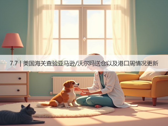 7.7 | 美国海关查验亚马逊/沃尔玛送仓以及港口周情况更新(图2)
