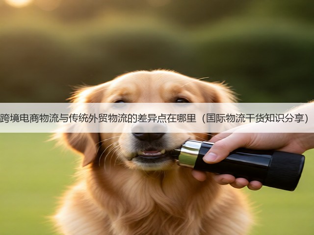 跨境电商物流与传统外贸物流的差异点在哪里(国际物流干货知识分享)(图1) 跨境电商物流与传统外贸物流的差异点在哪里(国际物流干货知识分享)(图1)