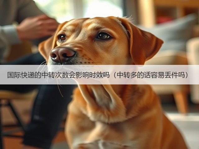 国际快递的中转次数会影响时效吗(中转多的话容易丢件吗)(图2) 国际快递的中转次数会影响时效吗(中转多的话容易丢件吗)(图2)
