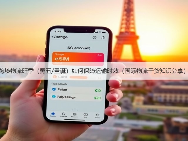 跨境物流旺季(黑五/圣诞)如何保障运输时效(国际物流干货知识分享)(图3) 跨境物流旺季(黑五/圣诞)如何保障运输时效(国际物流干货知识分享)(图3)