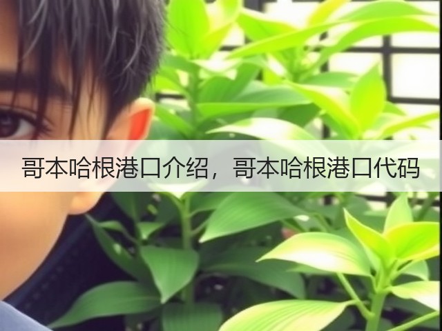 哥本哈根港口介绍,哥本哈根港口代码(图2) 哥本哈根港口介绍,哥本哈根港口代码(图2)