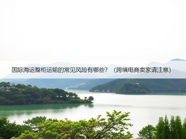 国际海运整柜运输的常见风险有哪些?(跨境电商卖家请注意)(图3) 国际海运整柜运输的常见风险有哪些?(跨境电商卖家请注意)(图3)