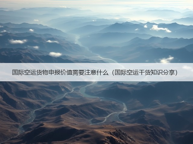 国际空运货物申报价值需要注意什么(国际空运干货知识分享)(图3) 国际空运货物申报价值需要注意什么(国际空运干货知识分享)(图3)
