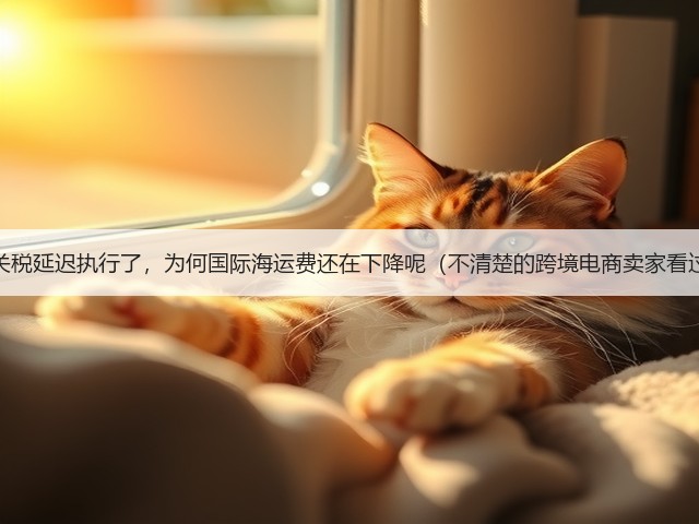 中美关税延迟执行了,为何国际海运费还在下降呢(不清楚的跨境电商卖家看过来)(图1) 中美关税延迟执行了,为何国际海运费还在下降呢(不清楚的跨境电商卖家看过来)(图1)