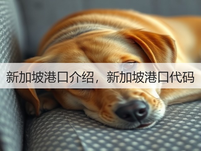 新加坡港口介绍,新加坡港口代码(图1) 新加坡港口介绍,新加坡港口代码(图1)