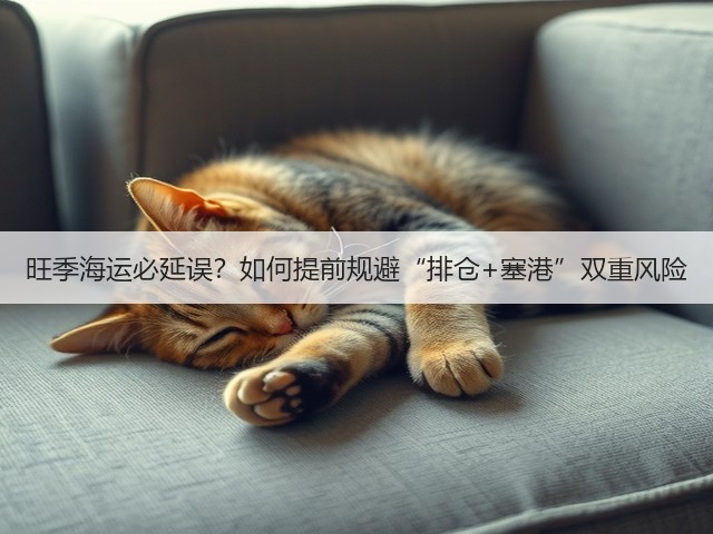 旺季海运必延误?如何提前规避“排仓+塞港”双重风险(图1) 旺季海运必延误?如何提前规避“排仓+塞港”双重风险(图1)