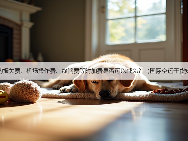 国际空运的报关费、机场操作费、终端费等附加费是否可以减免?(国际空运干货知识分享)(图3) 国际空运的报关费、机场操作费、终端费等附加费是否可以减免?(国际空运干货知识分享)(图3)