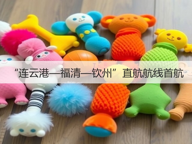 “连云港—福清—钦州”直航航线首航(图1)