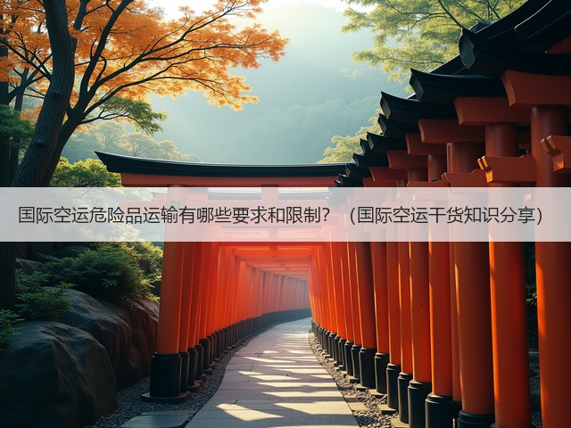 国际空运危险品运输有哪些要求和限制?(国际空运干货知识分享)(图2) 国际空运危险品运输有哪些要求和限制?(国际空运干货知识分享)(图2)