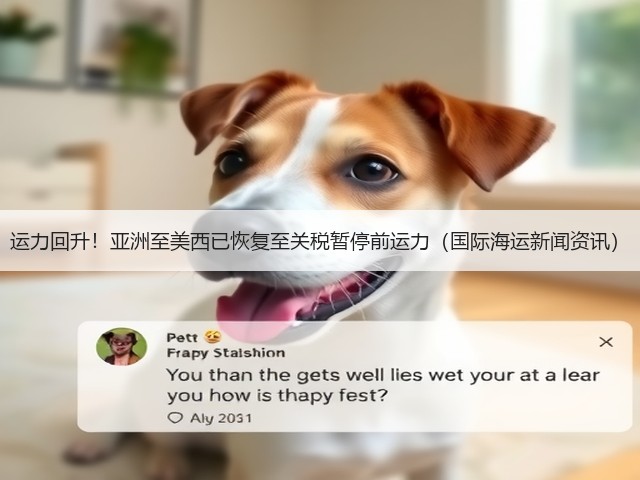 运力回升！亚洲至美西已恢复至关税暂停前运力（国际海运新闻资讯）(图3)