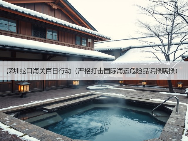 深圳蛇口海关百日行动(严格打击国际海运危险品谎报瞒报)(图3) 深圳蛇口海关百日行动(严格打击国际海运危险品谎报瞒报)(图3)