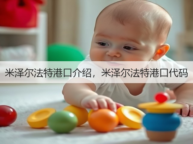 米泽尔法特港口介绍，米泽尔法特港口代码(图1)