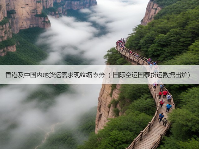 香港及中国内地货运需求现收缩态势（ 国际空运国泰货运数据出炉）(图3)