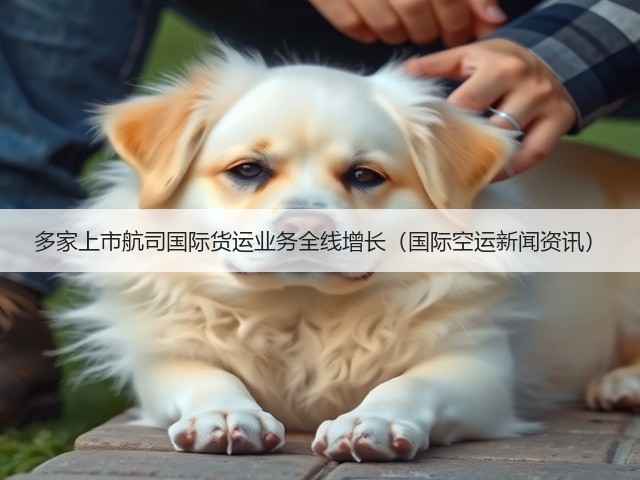 多家上市航司国际货运业务全线增长（国际空运新闻资讯）(图3)