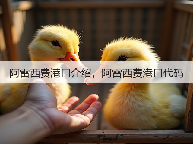 阿雷西费港口介绍,阿雷西费港口代码(图2) 阿雷西费港口介绍,阿雷西费港口代码(图2)