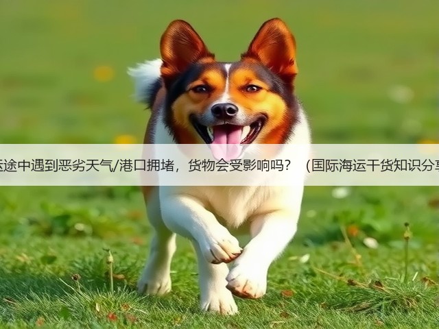 海运途中遇到恶劣天气/港口拥堵，货物会受影响吗？（国际海运干货知识分享）(图1)