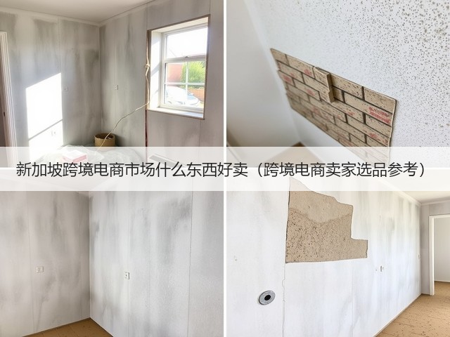 新加坡跨境电商市场什么东西好卖(跨境电商卖家选品参考)(图3) 新加坡跨境电商市场什么东西好卖(跨境电商卖家选品参考)(图3)