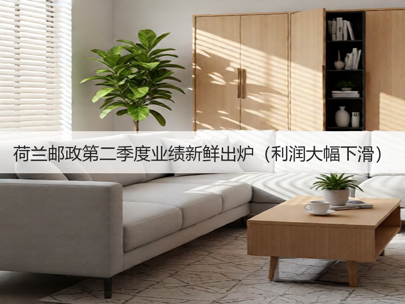 荷兰邮政第二季度业绩新鲜出炉（利润大幅下滑）