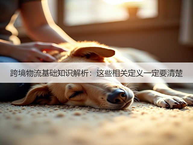 跨境物流基础知识解析:这些相关定义一定要清楚(图1) 跨境物流基础知识解析:这些相关定义一定要清楚(图1)