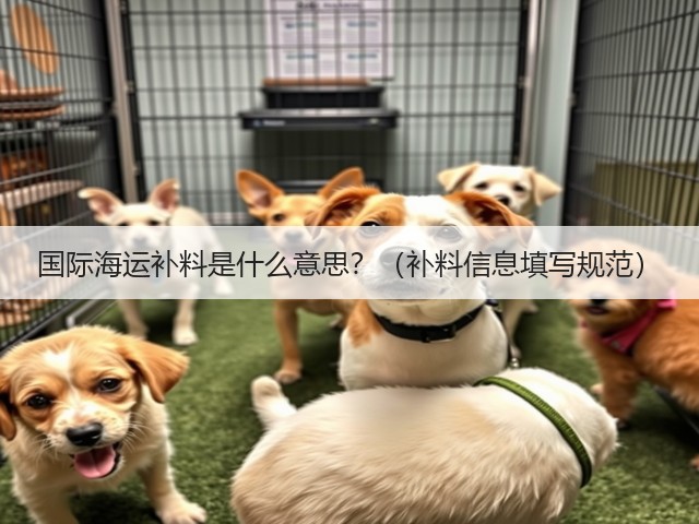 国际海运补料是什么意思?(补料信息填写规范)(图1) 国际海运补料是什么意思?(补料信息填写规范)(图1)
