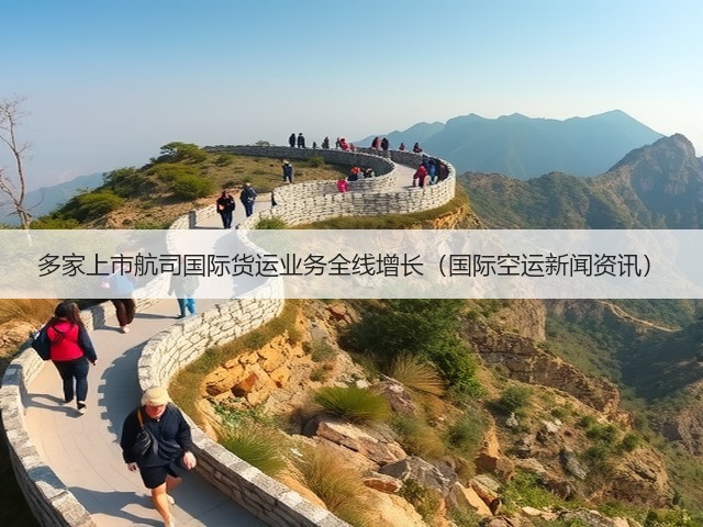 多家上市航司国际货运业务全线增长(国际空运新闻资讯)(图1) 多家上市航司国际货运业务全线增长(国际空运新闻资讯)(图1)