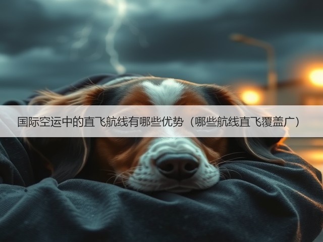 国际空运中的直飞航线有哪些优势(哪些航线直飞覆盖广)(图3) 国际空运中的直飞航线有哪些优势(哪些航线直飞覆盖广)(图3)