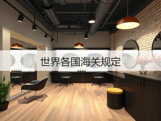 世界各国海关规定(图2)