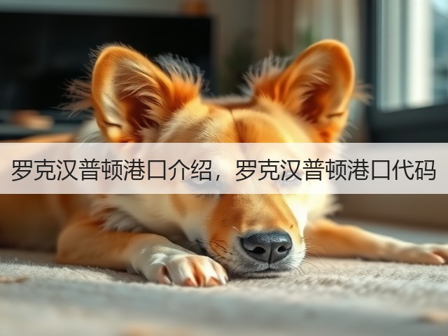 罗克汉普顿港口介绍，罗克汉普顿港口代码(图1)