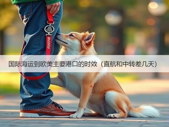 国际海运到欧美主要港口的时效(直航和中转差几天)(图3) 国际海运到欧美主要港口的时效(直航和中转差几天)(图3)