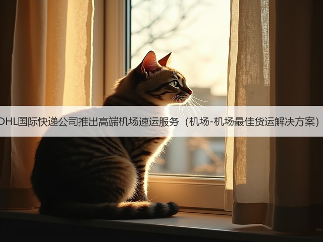 DHL国际快递公司推出高端机场速运服务(机场-机场最佳货运解决方案)(图3) DHL国际快递公司推出高端机场速运服务(机场-机场最佳货运解决方案)(图3)
