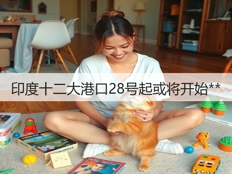 印度十二大港口28号起或将开始**