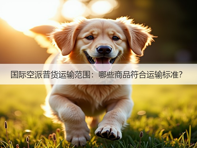 国际空派普货运输范围:哪些商品符合运输标准?(图3) 国际空派普货运输范围:哪些商品符合运输标准?(图3)