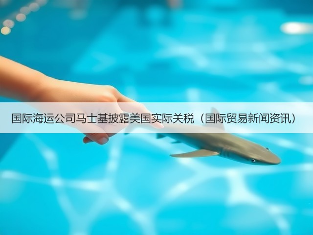 国际海运公司马士基披露美国实际关税（国际贸易新闻资讯）(图3)