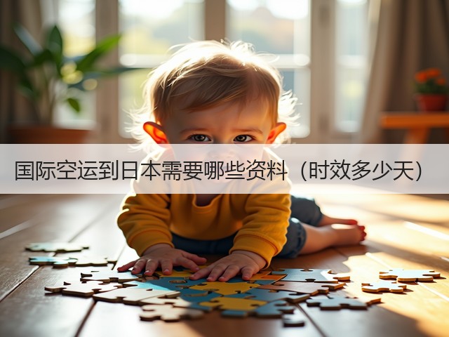 国际空运到日本需要哪些资料（时效多少天）(图1)