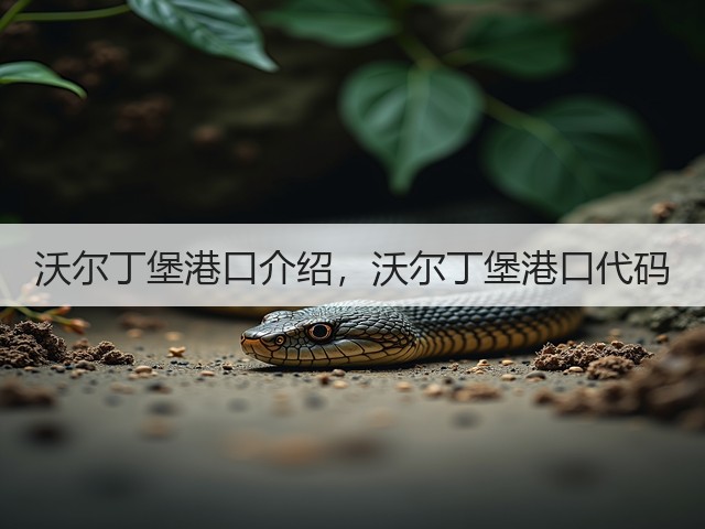沃尔丁堡港口介绍,沃尔丁堡港口代码(图1) 沃尔丁堡港口介绍,沃尔丁堡港口代码(图1)